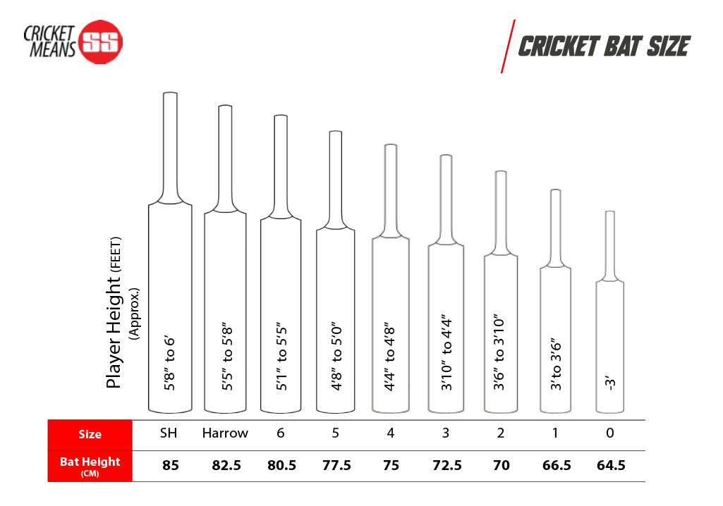 SS Master 99 English Willow Cricket Bat -SH