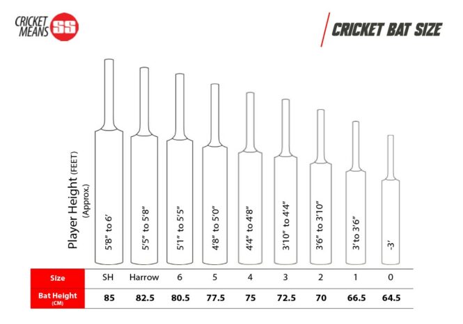 SS Master 500 English Willow Cricket Bat -SH